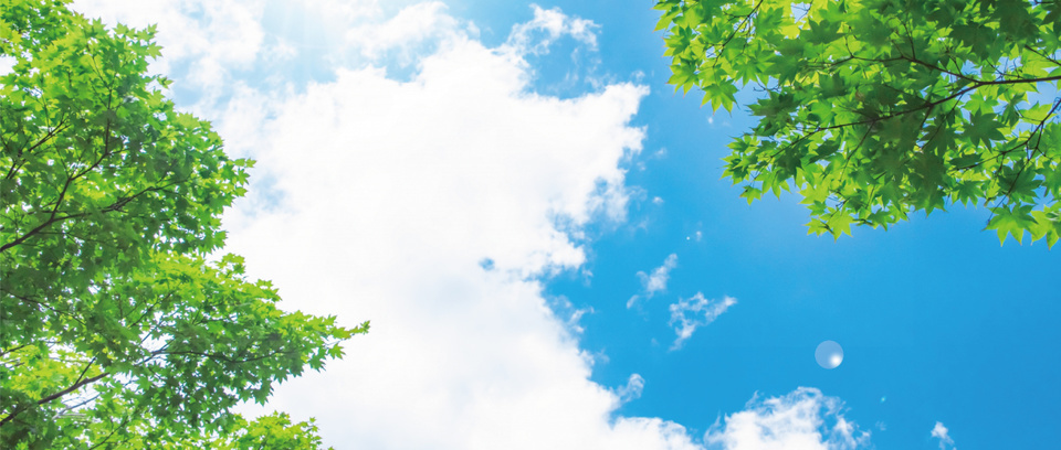 なちゅらんの様子 4